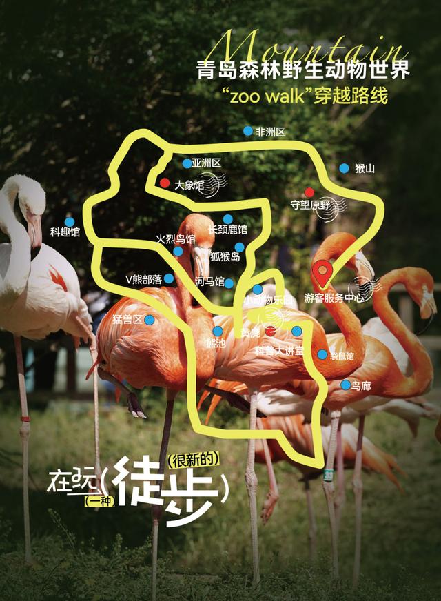 这里是青岛｜8天爬完这4座山，爱上青岛西海岸新区