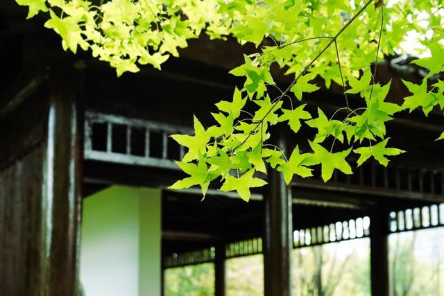 家门口的“诗与远方”！石景山这个宝藏公园更新开放