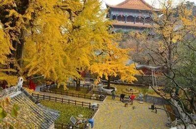 深耕金秋文旅资源，沂水秋季旅游市场热度攀升