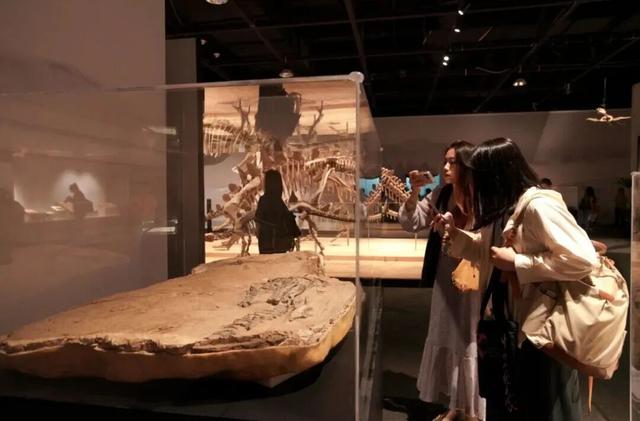 市中心赏梅季到了，免费打卡200余株梅花！这条路线打包冬日惊喜→