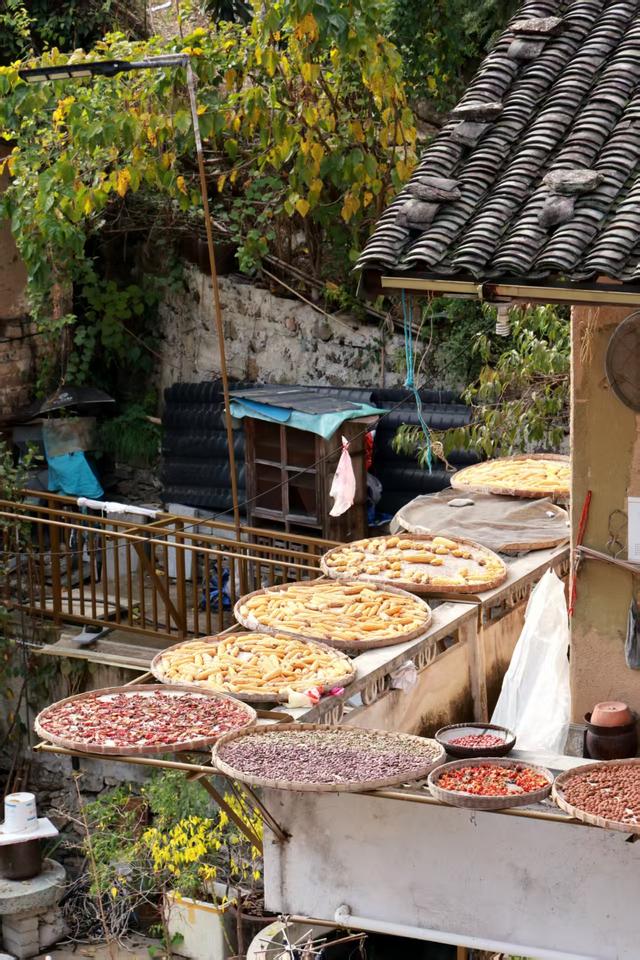 晚潮｜文昌古道秋意渐浓