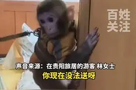 女子救下猕猴带回家养了半年，多方回应：涉刑事案件图片