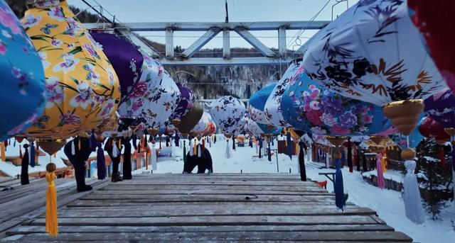 “萌主”驾到！4只巴布亚企鹅入住雪乡“童话森林”