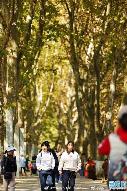 快看，贵阳黄金大道披金甲啦