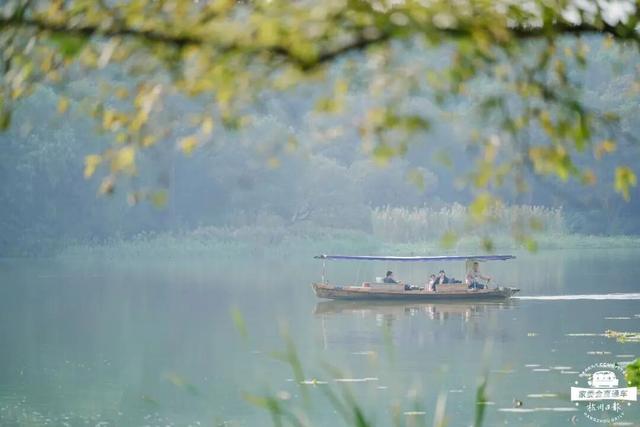 12.07 独立营｜冬日寻羽记：解码西湖候鸟的越冬密码！鸟类专家带队，探秘茅家埠“鸟类天堂”，体验听声辨鸟、飞羽寻踪的野趣周末！