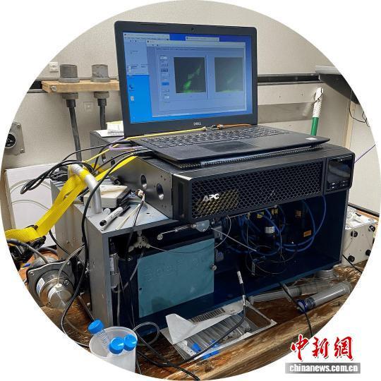 国际最新研究：全球变暖威胁重要产氧海洋微生物