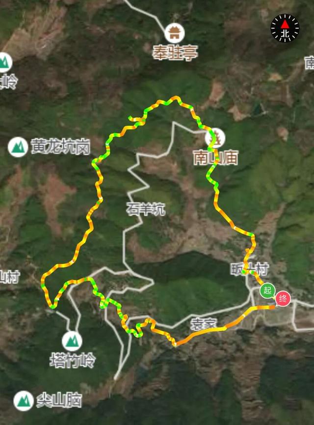 Hi走奉化② | 这条小众赏秋路线，藏有古树群“天花板”！