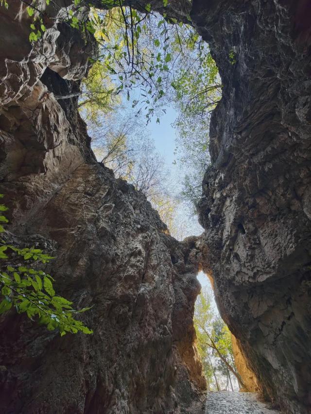 博物风情 | 在周口店遗址，遇见课本之外的历史