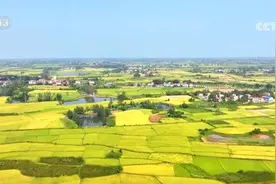 麦穗金黄、瓜果飘香 金秋硕果累累“丰”景美如画图片