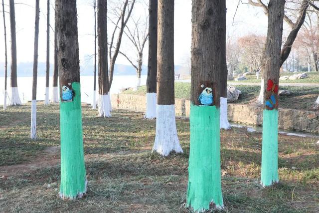 涂鸦上新！快来马鞍山这些公园打卡