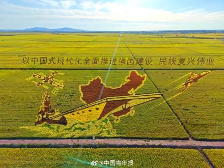 太绝了！富锦稻田画像闯入宫崎骏的夏天