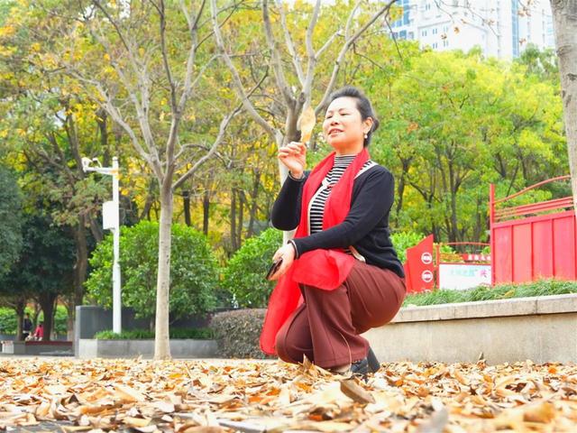 落叶缓扫留秋韵，洪山广场秋意浓