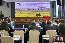 青海果洛：有机草场认证面积达2752万亩 生态畜牧业“畜”势勃发图片