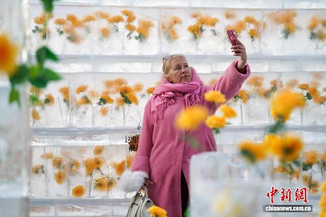 黑龙江哈尔滨：“冰封玫瑰”限定回归