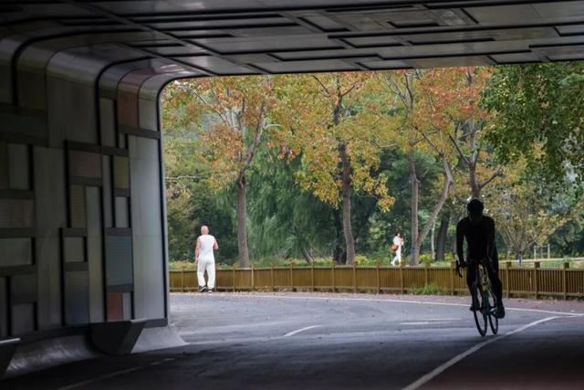 一大波美图袭来！长宁赏秋秘境藏不住啦～