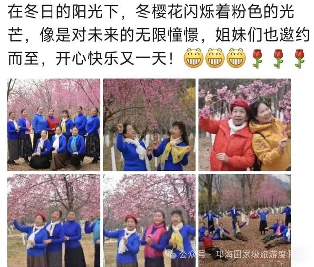 【冬季暖阳 凉山不凉】比春天先来的浪漫，是西昌的冬樱花