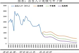 中国生育报告2024图片