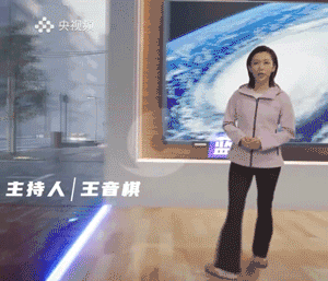 热闻|央视主持人演播室内险被大树砸到？网友惊呆：天气预报已经发展成这样了吗图片