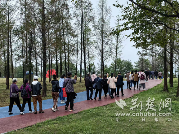 文体融合 共享诗与远方 襄阳市盲协开展健身周特色活动