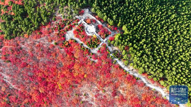 热门消息-山东济南：“等分春色”蝎子山(2)