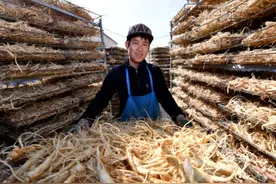全国首个！国家西洋参标准化区域服务与推广平台项目通过验收图片