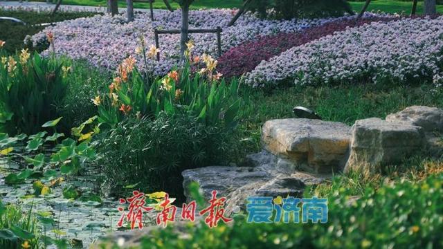 白泉湿地公园对外开放吸引众多市民关注