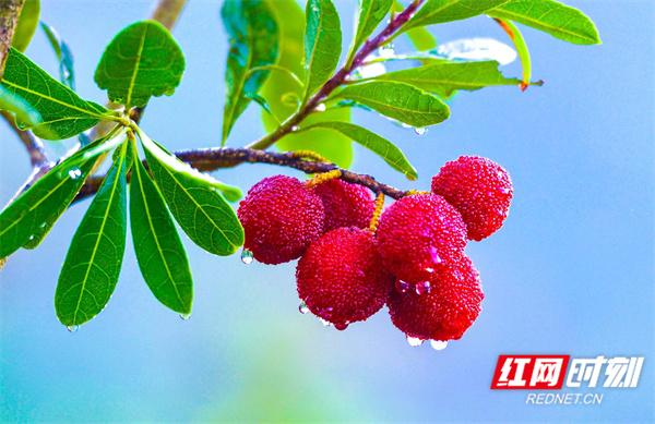 靖州，藏在山水间的“精神原乡”