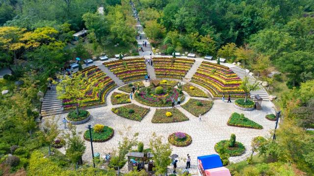 东港，把红叶与暖阳都拥入怀