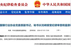 中银协原秘书长刘峰被查！图片