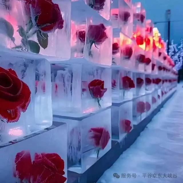 出片率100%！北京震撼冰瀑奇观上线，游客慕“冰”而来