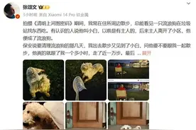 张颂文领养了流浪狗小白 以前有主人 后来主人离开了小区图片