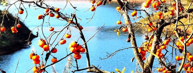 周末不忙，来趟平乐