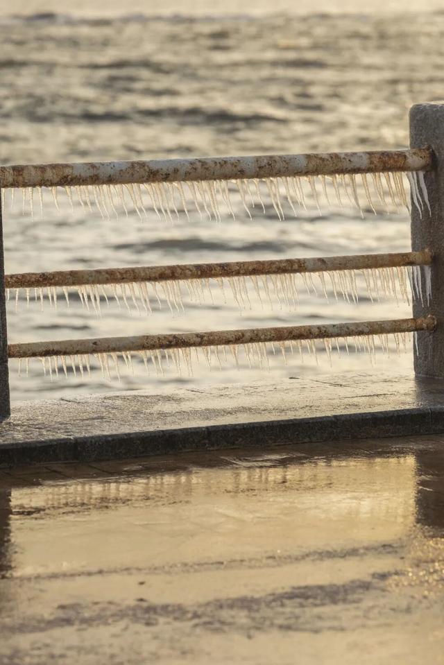 今早实拍！日照海边结冰了！低温还要持续几天？