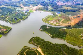 望岳谈｜沂河源亮相巴黎，艺术之花何以在山村绽放图片