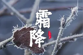 嘉鱼：【主播说节气】二十四节气之霜降图片