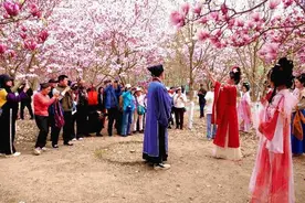 北京雕塑公园玉兰赏花季 花朝节再现再掀国潮风图片