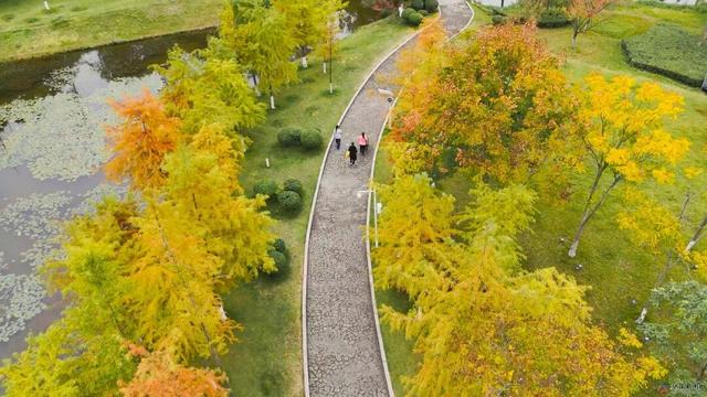 仪陇的秋天很美啊!