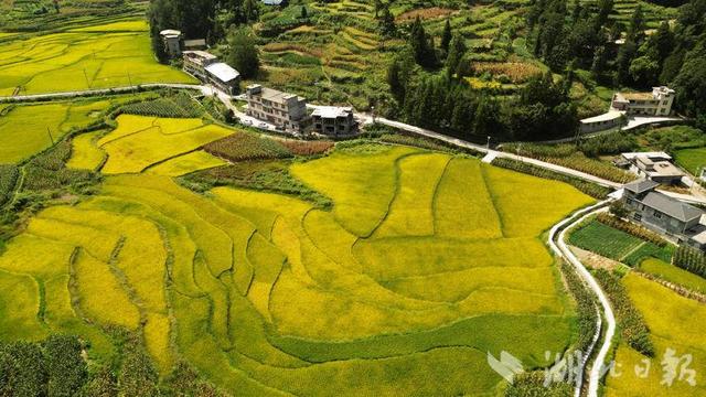咸丰大铧尖村：高山田园“丰”景美