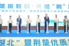 2024“数商兴农进湖北”活动在荆门举办图片