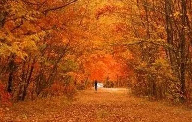 不来珲春，怎知秋色如许？（惊艳美图来袭）