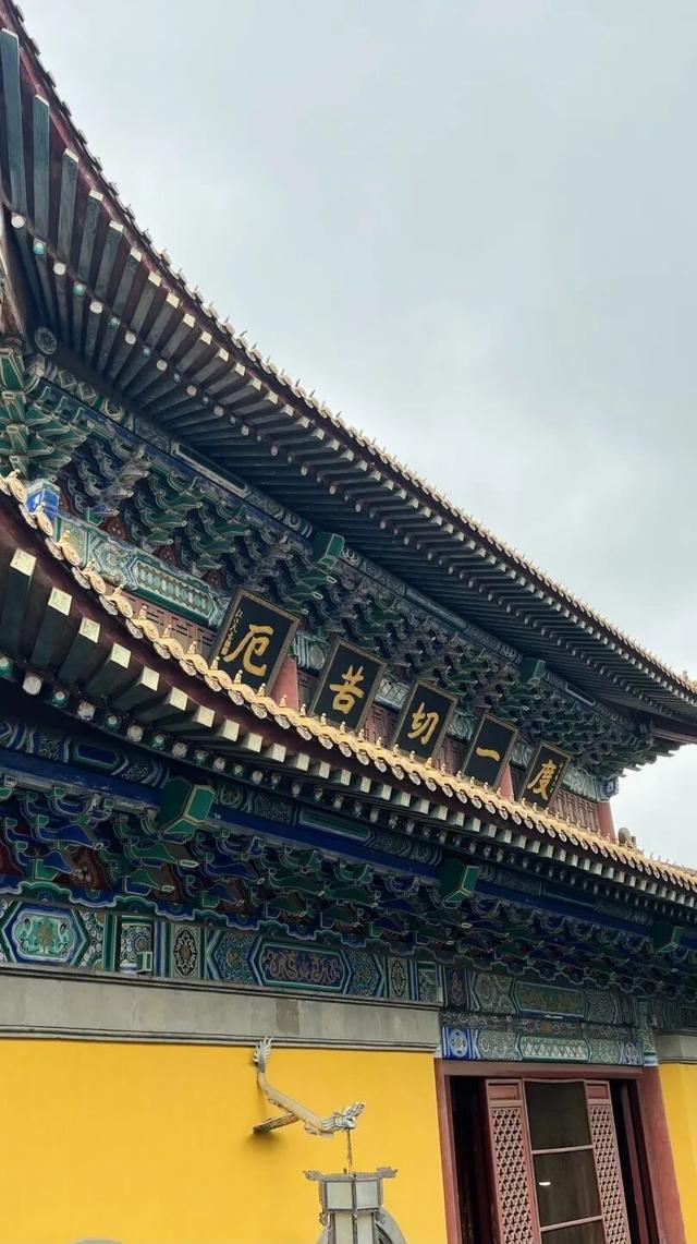 谁说“一日游”不能玩出花？