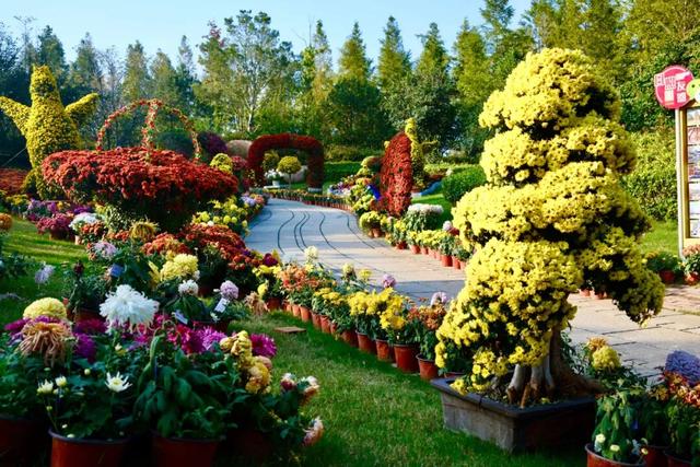 东港，把红叶与暖阳都拥入怀