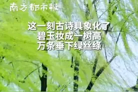 中式美学🥰！古人诚不欺我 古诗词在春天具象化了图片
