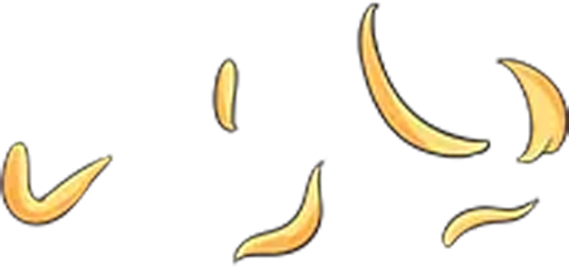 滴！重阳暖心免票福利→这张秋日『头等舱』车票请签收！