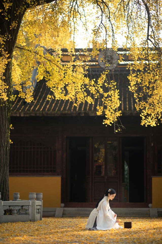 苏州的秋天，给你点“颜色”看看！