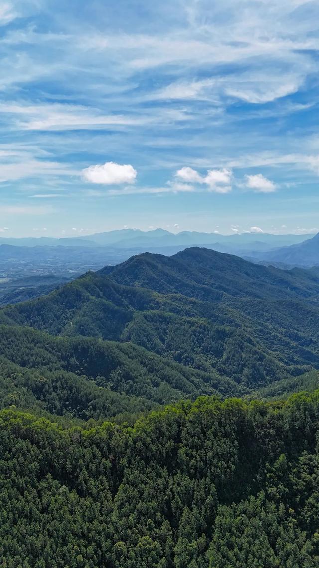 图观白沙 | 白沙山城的绿意秘境