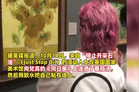两人因向《向日葵》泼汤被判入狱，数小时后，梵高名作又在伦敦被泼了图片