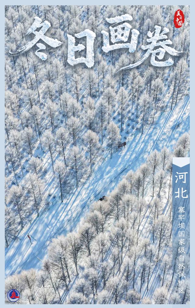 海报丨冬日画卷