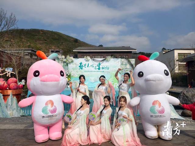 春节176万人涌入信宜，吸金8.43亿！