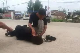 韩晨曦，好样的！图片